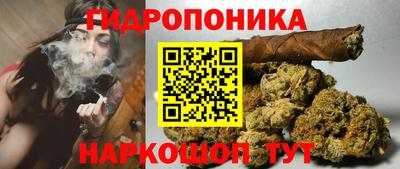 ПСИЛОЦИБИНОВЫЕ ГРИБЫ Коммунар