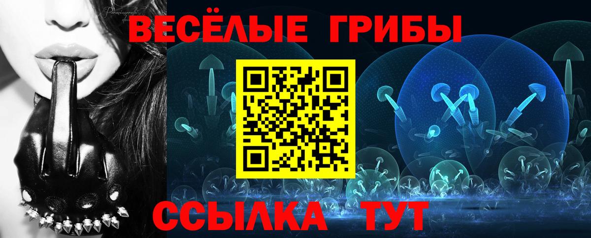 Псилоцибиновые грибы мицелий  Вход с VPN  Шарыпово 