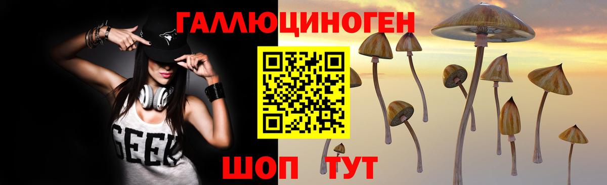 Псилоцибиновые грибы GOLDEN TEACHER Шарыпово